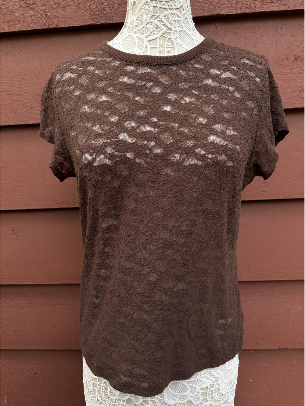 Aerie Brown Floral Lace Short Sleeve Top Sheer Bohemian Indie Summer Tee